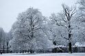 2011-01-24, Schnee (7)